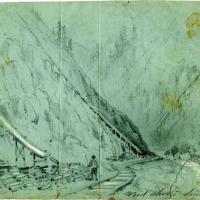 Wood Shoots in the Sierra Nevadas